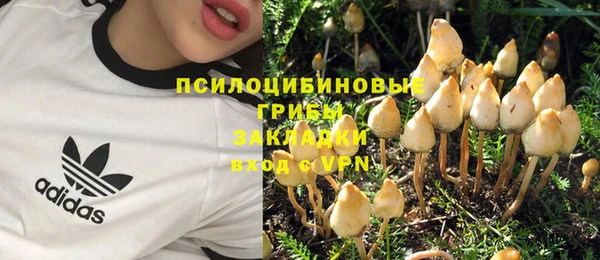 спиды Алексеевка