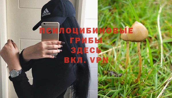 спиды Алексеевка