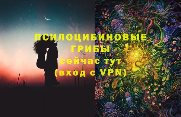 спиды Алексеевка