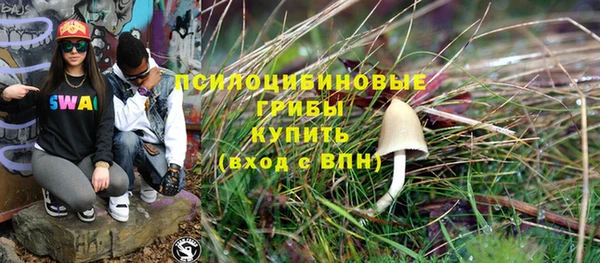 дживик Алзамай